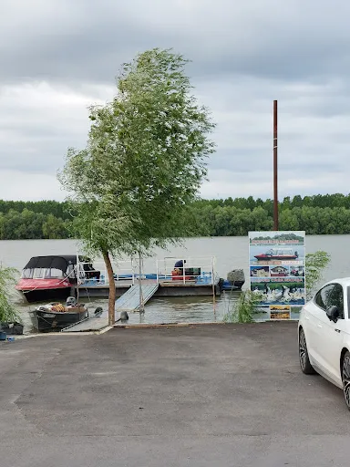 Foto recenzie