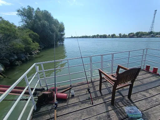 Foto recenzie