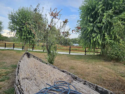 Foto recenzie