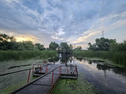 Foto recenzie