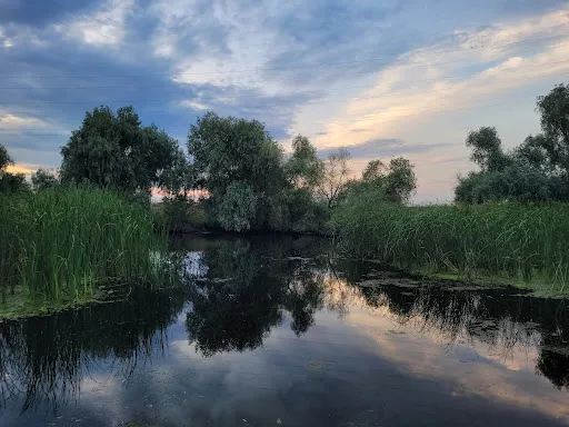 Foto recenzie